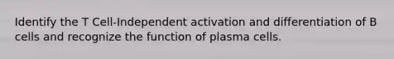 Identify the T Cell-Independent activation and differentiation of B cells and recognize the function of plasma cells.