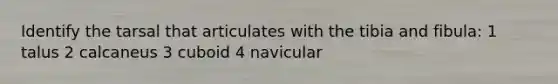 Identify the tarsal that articulates with the tibia and fibula: 1 talus 2 calcaneus 3 cuboid 4 navicular