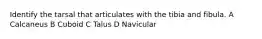 Identify the tarsal that articulates with the tibia and fibula. A Calcaneus B Cuboid C Talus D Navicular