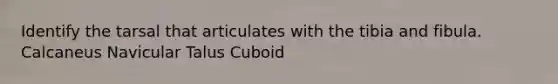 Identify the tarsal that articulates with the tibia and fibula. Calcaneus Navicular Talus Cuboid