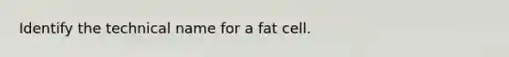 Identify the technical name for a fat cell.