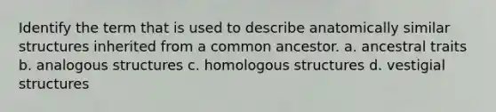 Identify the term that is used to describe anatomically similar structures inherited from a common ancestor. a. ancestral traits b. analogous structures c. homologous structures d. vestigial structures