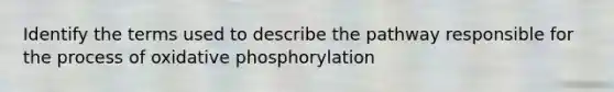 Identify the terms used to describe the pathway responsible for the process of oxidative phosphorylation