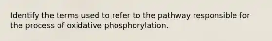 Identify the terms used to refer to the pathway responsible for the process of oxidative phosphorylation.