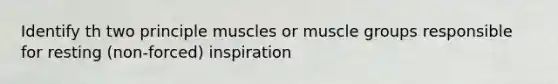 Identify th two principle muscles or muscle groups responsible for resting (non-forced) inspiration