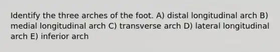 Identify the three arches of the foot. A) distal longitudinal arch B) medial longitudinal arch C) transverse arch D) lateral longitudinal arch E) inferior arch