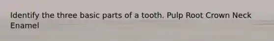 Identify the three basic parts of a tooth. Pulp Root Crown Neck Enamel