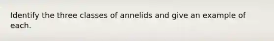 Identify the three classes of annelids and give an example of each.