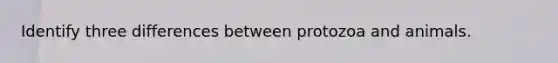 Identify three differences between protozoa and animals.