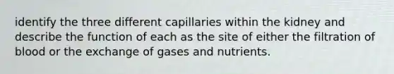 identify the three different capillaries within the kidney and describe the function of each as the site of either the filtration of blood or the exchange of gases and nutrients.