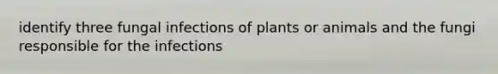 identify three fungal infections of plants or animals and the fungi responsible for the infections