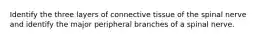 Identify the three layers of connective tissue of the spinal nerve and identify the major peripheral branches of a spinal nerve.