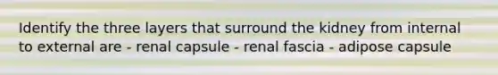 Identify the three layers that surround the kidney from internal to external are - renal capsule - renal fascia - adipose capsule