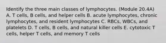 Identify the three main classes of lymphocytes. (Module 20.4A) A. T cells, B cells, and helper cells B. acute lymphocytes, chronic lymphocytes, and resident lymphocytes C. RBCs, WBCs, and platelets D. T cells, B cells, and natural killer cells E. cytotoxic T cells, helper T cells, and memory T cells