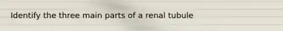 Identify the three main parts of a renal tubule