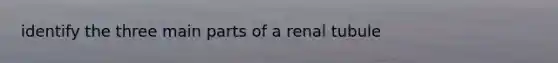 identify the three main parts of a renal tubule