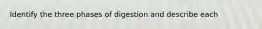 Identify the three phases of digestion and describe each