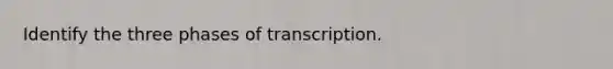 Identify the three phases of transcription.