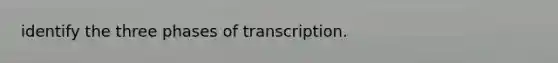 identify the three phases of transcription.