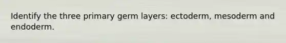 Identify the three primary germ layers: ectoderm, mesoderm and endoderm.