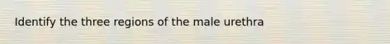 Identify the three regions of the male urethra