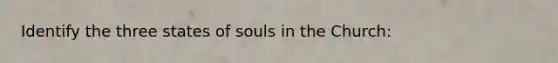 Identify the three states of souls in the Church: