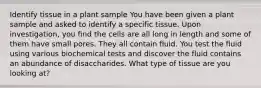 Identify tissue in a plant sample You have been given a plant sample and asked to identify a specific tissue. Upon investigation, you find the cells are all long in length and some of them have small pores. They all contain fluid. You test the fluid using various biochemical tests and discover the fluid contains an abundance of disaccharides. What type of tissue are you looking at?