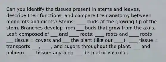 Can you identify the tissues present in stems and leaves, describe their functions, and compare their anatomy between monocots and dicots? Stems: ____ buds at the growing tip of the stem. Branches develop from ___ buds that grow from the axils. Leaf: composed of ___ and ____ roots: ____ roots and ____ roots ___ tissue = covers and ___ the plant (like our ____). ____ tissue = transports ___, ____, and sugars throughout the plant. ___ and phloem ____ tissue: anything ___ dermal or vascular.