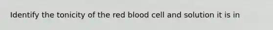 Identify the tonicity of the red blood cell and solution it is in