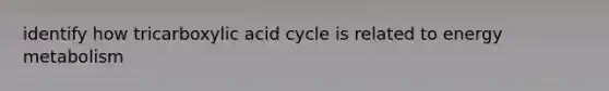 identify how tricarboxylic acid cycle is related to energy metabolism