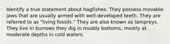 Identify a true statement about hagfishes. They possess movable jaws that are usually armed with well-developed teeth. They are referred to as "living fossils." They are also known as lampreys. They live in burrows they dig in muddy bottoms, mostly at moderate depths in cold waters.