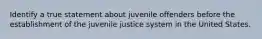 Identify a true statement about juvenile offenders before the establishment of the juvenile justice system in the United States.