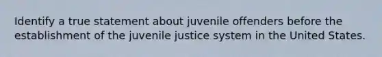 Identify a true statement about juvenile offenders before the establishment of the juvenile justice system in the United States.