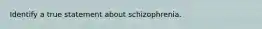 Identify a true statement about schizophrenia.