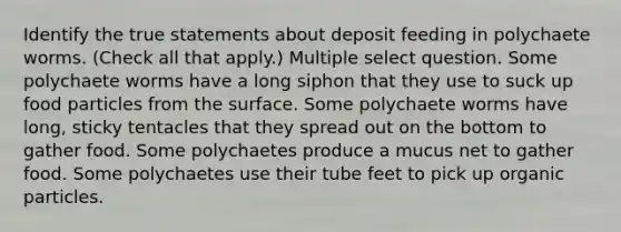 Identify the true statements about deposit feeding in polychaete worms. (Check all that apply.) Multiple select question. Some polychaete worms have a long siphon that they use to suck up food particles from the surface. Some polychaete worms have long, sticky tentacles that they spread out on the bottom to gather food. Some polychaetes produce a mucus net to gather food. Some polychaetes use their tube feet to pick up organic particles.