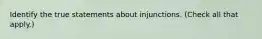 Identify the true statements about injunctions. (Check all that apply.)