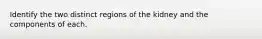 Identify the two distinct regions of the kidney and the components of each.