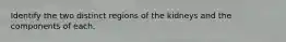 Identify the two distinct regions of the kidneys and the components of each.
