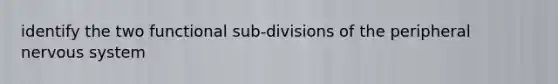 identify the two functional sub-divisions of the peripheral nervous system