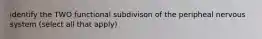 identify the TWO functional subdivison of the peripheal nervous system (select all that apply)
