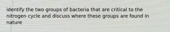 identify the two groups of bacteria that are critical to the nitrogen cycle and discuss where these groups are found in nature