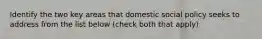 Identify the two key areas that domestic social policy seeks to address from the list below (check both that apply)