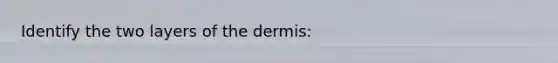 Identify the two layers of the dermis: