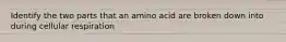 Identify the two parts that an amino acid are broken down into during cellular respiration