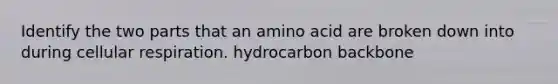 Identify the two parts that an amino acid are broken down into during cellular respiration. hydrocarbon backbone