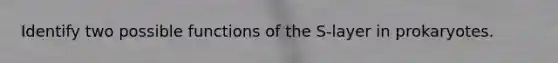 Identify two possible functions of the S-layer in prokaryotes.
