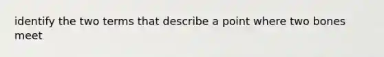 identify the two terms that describe a point where two bones meet