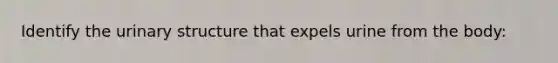 Identify the urinary structure that expels urine from the body: