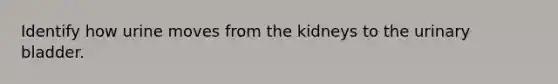 Identify how urine moves from the kidneys to the urinary bladder.