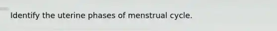 Identify the uterine phases of menstrual cycle.